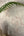 Plaster-Texture-Wallpaper-Beige-Plaster-by-Belgravia-Decor-GB-9020