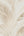 Metropolis-Palm-Jungle-Natural-Beige-Wallpaper-by-Michalsky-Living-6-39980-1