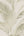 Metropolis-Palm-Jungle-Cream-Green-Wallpaper-by-Michalsky-Living-6-39980-2