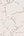 Apple-Blossom-Burnt-Orange-Wallpaper-by-Graham-and-Brown-Fresco-108291