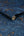 Liquid-Navy-Gold-Wallpaper-by-Graham-and-Brown-Fresco-119559