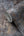 Stories-Of-Life-Concrete-Texture-Blue-Gold-Wallpaper-by-AS-Creation-39670-1