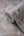 Stories-Of-Life-Concrete-Texture-Grey-Copper-Wallpaper-by-AS-Creation-39670-2