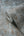 Stories-Of-Life-Concrete-Texture-Jade-Gold-Wallpaper-by-AS-Creation-39670-4