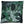 Elena Green 45cm Square Cushion from Malini