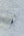 Luxury-Plain-Grey-Wallpaper-by-Arthouse-299305
