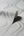 Curve-Grey-Wallpaper-by-Arthouse-295101