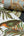 Embellish-Wallstitch-Birds-of-Paradise-Black-Green-Orange-Wallpaper-by-design-id-DE120015