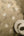 Valentino-Pine-Trail-Wallpaper-Champagne-by-Belgravia-Decor-GB-1933