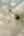 Valentino-Pine-Trail-Wallpaper-Sage-by-Belgravia-Decor-GB-1936