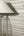 Palma-Wood-Wallpaper-White-Champagne-by-Belgravia-Decor-GB-9013