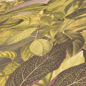 Pint-Walls-Animal-Jungle-Green-Yellow-Wallpaper-by-AS-Creation-38724-2