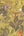 Pint-Walls-Animal-Jungle-Green-Yellow-Wallpaper-by-AS-Creation-38724-2