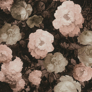 History-Of-Art-Floral-Black-Cream-Rose-Wallpaper-by-AS-Creation-37650-4