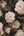 History-Of-Art-Floral-Black-Cream-Rose-Wallpaper-by-AS-Creation-37650-4