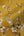 Desert-Lodge-Watercolour-Blossom-Rich-Mustard-Wallpaper-by-AS-Creation-37993-1