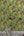 Wanderlust-Tropical-Foliage-Green-Wallpaper-from-Wall-Fashion-by-Grandeco-WL2003