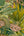 Wanderlust-Tropical-Foliage-Green-Wallpaper-from-Wall-Fashion-by-Grandeco-WL2003