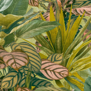 Wanderlust-Tropical-Foliage-Green-Wallpaper-from-Wall-Fashion-by-Grandeco-WL2003