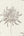 Urban-Living-Blossom-White-Taupe-Wallpaper-from-Andy-Wand-649017