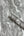 Luxe-Texture-Pewter-Wallpaper-by-Arthouse-299102