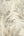 Gianni-Trailing-Feather-Natural-Beige-Wallpaper-by-Vymura-M95694