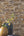 Vintage-Brick-Brown-Wallpaper-from-Rasch-Selection-863444