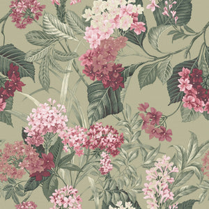 Misaki-Hydrangea-Sage-Pink-Wallpaper-by-Belgravia-Decor-2321