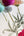 Botanist-Panel-White-Multi-Wallpaper-by-Belgravia-Decor-4770