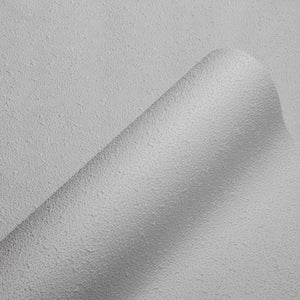 Anaglypta-Armadillo-Stipple-by-Retford-Wallcoverings-RD8102
