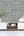 Ginkgo-Grey-Silver-Wallpaper-by-Arthouse-892905