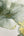Elysian-Floral-Green-Gold-Wallpaper-by-Muriva-212503