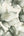 Elysian-Floral-Green-Gold-Wallpaper-by-Muriva-212503