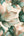 Elysian-Floral-Coral-Teal-Wallpaper-by-Muriva-212505