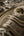 Versace-Home-Virtus-Brown-Gold-Luxury-70cm-Wallpaper-by-AS-Creation-38705-6