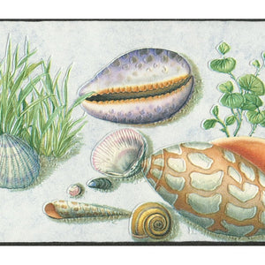 Seashell Motifs Multi Colour Contoured Border by Rasch 405804