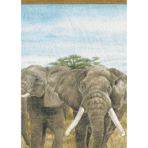 Elephant Safari Wide Border by Rasch 255201
