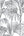 Honolulu-Palm-White-Silver-Glitter-Wallpaper-by-Julien-Macdonald-112084