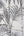Honolulu-Palm-White-Silver-Glitter-Wallpaper-by-Julien-Macdonald-112084