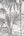 Honolulu-Palm-White-Silver-Glitter-Wallpaper-by-Julien-Macdonald-112084