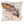 Everlast Caramel 45cm Square Cushion from Malini