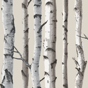 Birch-Tree-Heavyweight-Wallpaper-Natural-by-Fine-Decor-FD31051S