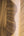 The-Trend-Spectrum-Terracotta-Wallpaper-by-AS-Creation-79233-3