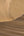 The-Trend-Spectrum-Terracotta-Wallpaper-by-AS-Creation-79233-3