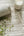 Caspian Texture Wallpaper Ivory Belgravia Decor 2404