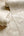 Ortensia Floral Beige Wallpaper by Belgravia Decor GB 33347