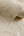 Ortensia Floral Beige Wallpaper by Belgravia Decor GB 33347