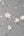 Isla Trail Charcoal Wallpaper by Fine Decor FD44319