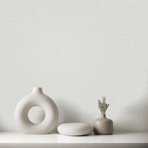 Isla Plain Grey Texture Wallpaper by Fine Decor FD44320